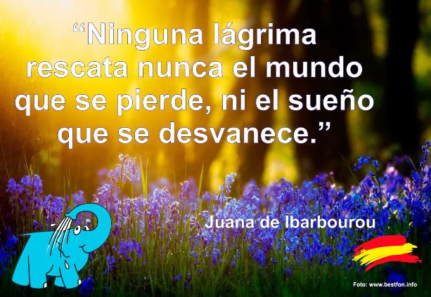 Ninguna lágrima rescata nunca el mundo que se pierde ni el sueño que se desvanece.